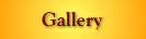 Link to Wood Dynamics Gallery