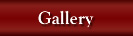 Link to Wood Dynamics Gallery