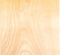 Picture of Birch wood sample