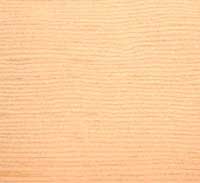Picture of Light Fir wood sample