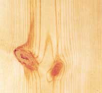 Picture of Knotty Pine wood sample