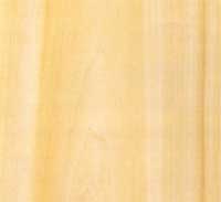 Picture of Poplar wood sample