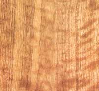 Picture of Light Walnut wood sample